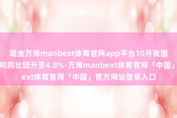 现金万博manbext体育官网app平台10月我国社会消耗品零卖总和同比回升至4.8%-万博manbext体育官网「中国」官方网站登录入口